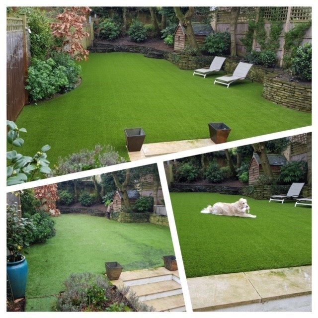 white dog playing on fake grass lawn