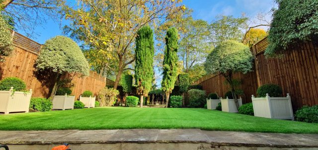 Easigrass Essex & Hertfordshire