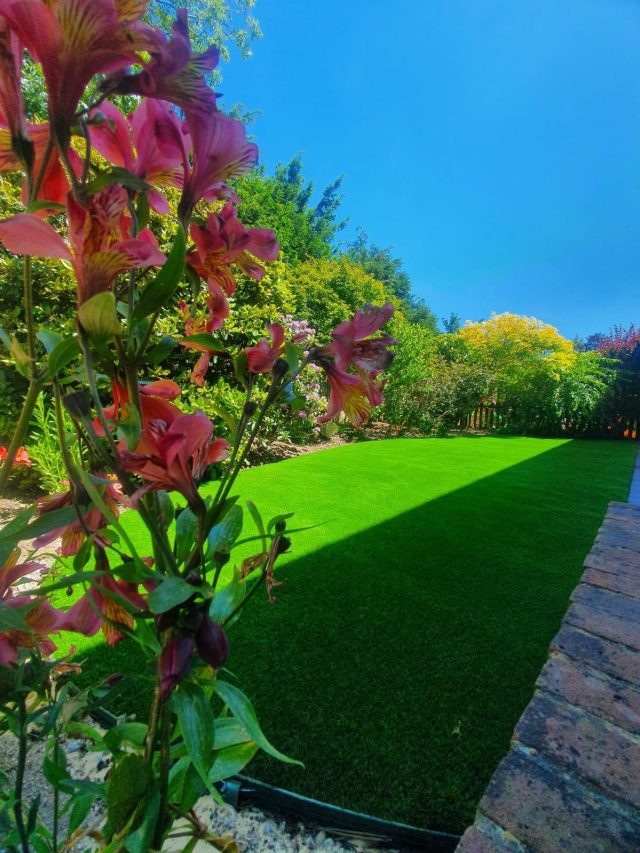 Danbury: Belgravia Grass