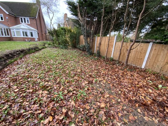 Essex fake grass installation