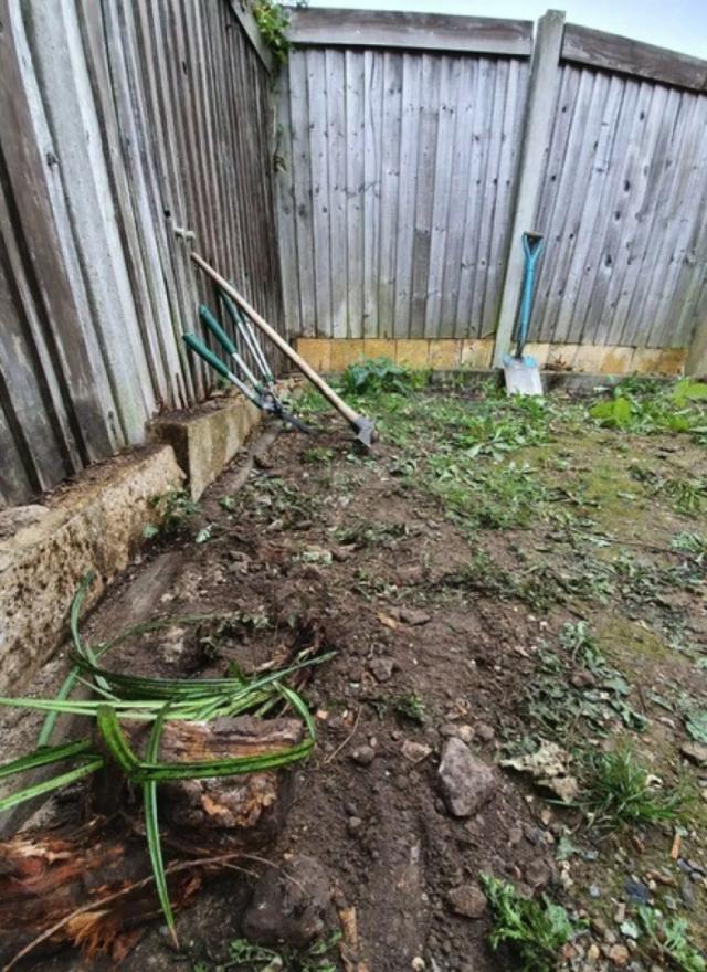 brentwood artificial grass installation