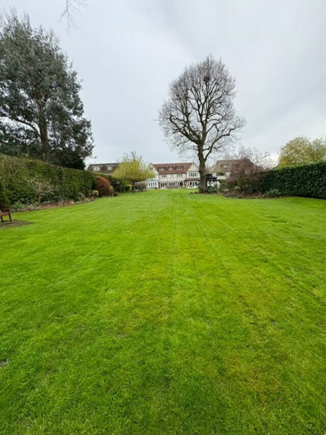 artificial grass putting green installation Brentwood, Essex