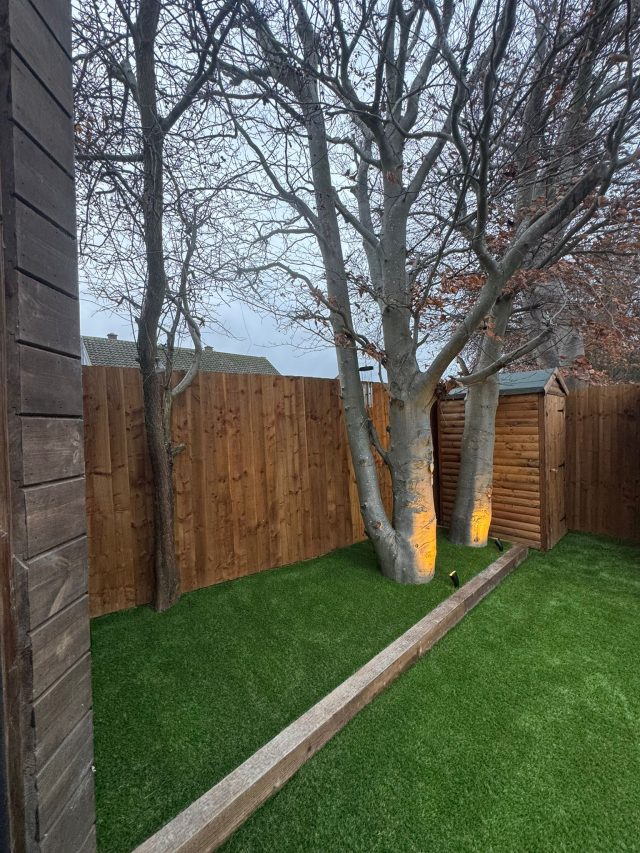 Brandon Groves Artificial Grass